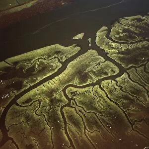 Lancashire Collection: Aerial image of Salt Marsh on River Lune, Lancaster, Lancashire, England