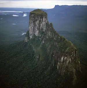 Aerial image of tepuis showing Mount Autana (Cerro Autana), Amazonas territory