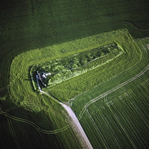 Neolithic Prints: Aerial image of West Kennet Long Barrow