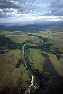 Bolivar State Prints: Aerial image of Yuruani River near Masu-paru-mota, Canaima National Park