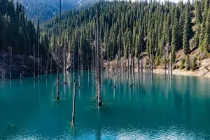 Kazakhstan Prints: Aerial of the Kaindy Lake with its dead trees
