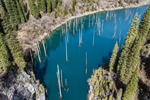 Aerial of the Kaindy Lake with its dead trees, Kolsay Lakes National Park, Tian Shan mountains, Kazakhstan, Central Asia, Asia
