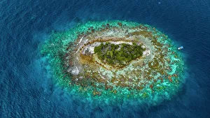Lagoons Prints: Aerial of little islet filled with birds in the lagoon of Fakarava