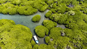 Saudi Arabia Prints: Aerial of the Mangrove forest, Farasan islands, Kingdom of Saudi Arabia, Middle East