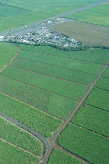 Aerial of Maui, Hawaii, United States of America, Pacific