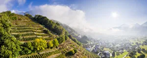Aerial panoramic view of vineyards with village illuminated by sun in autumn, Berbenno Aerial panoramic view of vineyards with village illuminated by sun in autumn, Berbenno