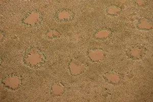 Namib Prints: Aerial photo of Magic Circles, Namib Naukluft National Park, Namibia, Africa