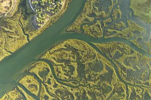 Aerials Prints: Aerial photograph capturing the intricate waterways and verdant foliage of the Guadalquivir Marshes