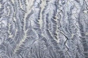 Tall Prints: An aerial photograph showcasing the intricate