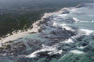 Environmental Issues Prints: Aerial photography of ocean and kelp beds at Walker Bay