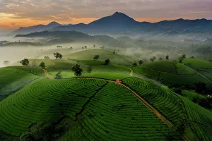 Terraced Field Prints: Aerial of red car on road through Long Coc Tea Hill