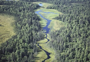 Aerials Prints: Aerial of river, Denali National Park, Alaska, United States of America, North America