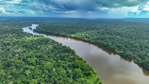 Suriname Prints: Aerial of the Suriname River at Pokigron, Suriname, South America