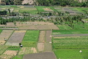 Aerial of a valley with irrigated fields near Bug Bug