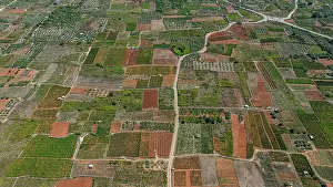 Roads Prints: Aerial view of agricultural fields in Stari Grad plain area in Croatia showcasing varied crops