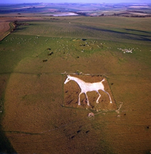 Land Prints: Aerial view of Alton Barnes White Horse, Alton Barnes, Wiltshire, England