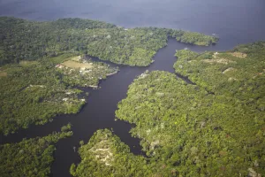 Manaus Prints: Aerial view of Amazon rainforest and Rio Negro, Manaus, Amazonas, Brazil, South America