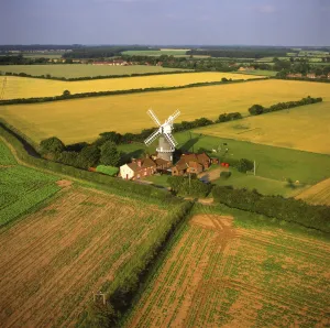 Rape Field Prints: Aerial view of Bircham Windmill, Great Bircham, Kings Lynn, Norfolk