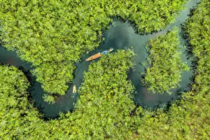 Rainforests Prints: Aerial view of boat crossing through the deep jungle
