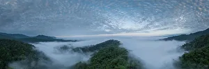 Rainforests Prints: Aerial view of The Cloudforest