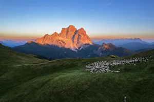 Flock Of Sheep Prints: Aerial view of the Conca di Mondeval with a herd of sheep grazing