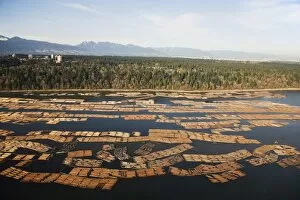 Images Dated 6th April 2009: Aerial view of cut logs in the sea waiting to be transported, Vancouver