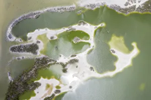 Directly Above Prints: Aerial view by drone of tropical lagoon next to Darkwood Beach, Antigua, Leeward Islands