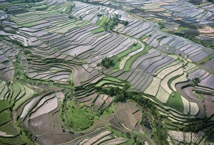 Rice Terrace Prints: Aerial view of the eastern region of the island of Bali