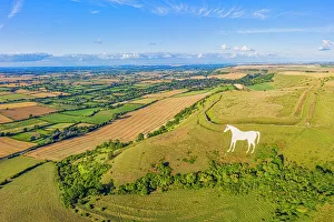 Meadow Prints: Aerial view of the famous White Horse below Bratton Camp
