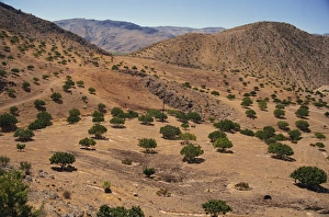 Iran Prints: Aerial view over Fars Province landscape