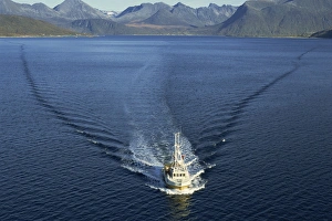 Wake Prints: Aerial view over fishing boat and its wake