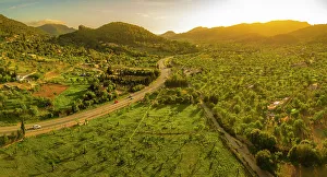 Driving Prints: Aerial view of fruit tree fields near Andratx at sunset