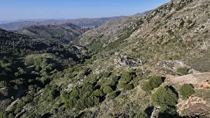 Shrubs Prints: Aerial view of Gorge Sarakina Meskla, Crete, Greek Islands, Greece, Europe