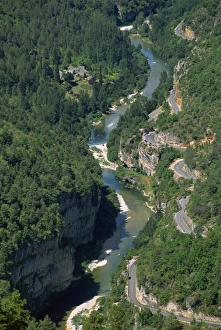 Lozere Prints: Aerial view of the Gorges du Tarn from Roc des Hourtous, in Lozere, Languedoc Roussillon