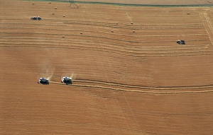 Equipment Prints: Aerial view of harvesters, Commercy Region, Meuse, Lorraine, France, Europe
