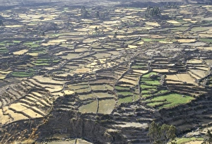Terraced Field Prints: Aerial view of Inca terraces