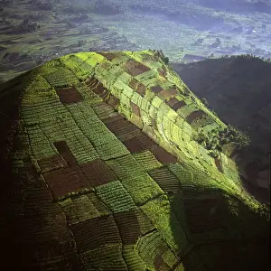 Aerial view of intensive agriculture on Virunga foothills, Democratic Republic of Congo