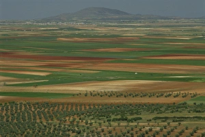 New Castile Prints: Aerial view of landscape of fields around the town
