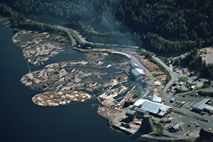 Aerial view of logs in the river beside a saw mill in British Columbia
