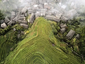 Terrace Collection: Aerial view on Longsheng rice terraces, also knows as dragon