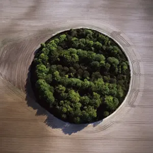 Directly Above Prints: Aerial view of Meggs Hill (Gog Magog Downs) (Gog Magog Hills) (the Gogs)