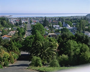 Aerial view over Nelson