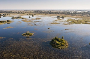 Images Dated 4th June 2009: Aerial view of Okavango Delta, Botswana, Africa