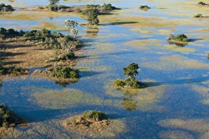 Images Dated 4th June 2009: Aerial view of Okavango Delta, Botswana, Africa
