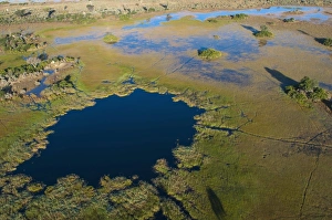 Images Dated 4th June 2009: Aerial view of Okavango Delta, Botswana, Africa