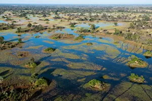 Images Dated 4th June 2009: Aerial view of Okavango Delta, Botswana, Africa
