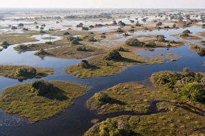 Images Dated 4th June 2009: Aerial view of Okavango Delta, Botswana, Africa