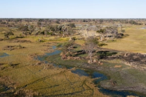 Aerial view of Okavango Delta, Botswana, Africa