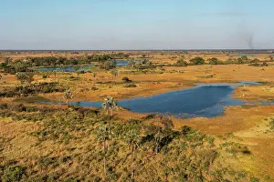 Aerial view of the Okavango Delta, UNESCO World Heritage Site, Botswana, Africa