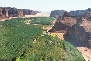 Irrigation Prints: Aerial view of Palm grove and farms in the oasis of AlUla, Medina Province, Saudi Arabia